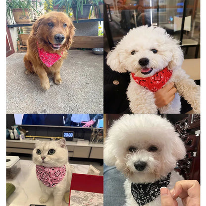 BohoVibe Triangular Pet Scarf