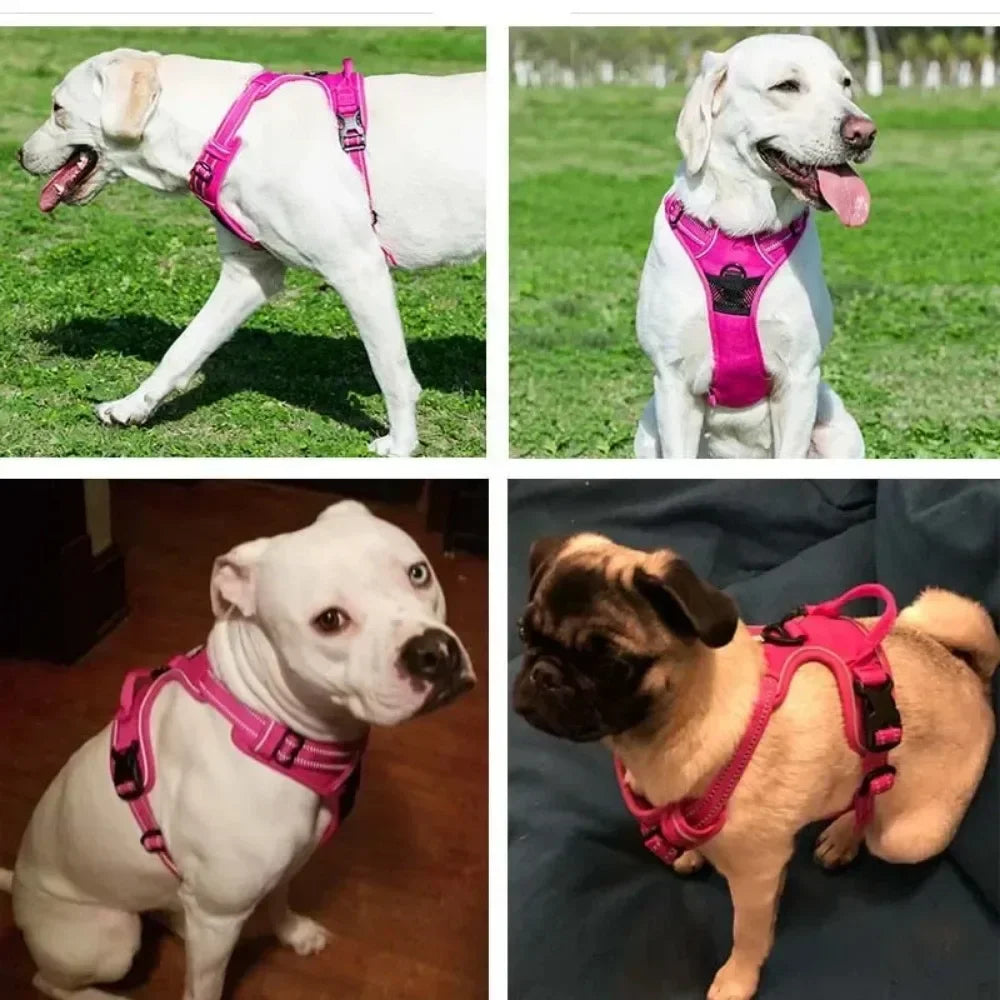 Reflective Minimalist Pet Harness - Secure & Sleek