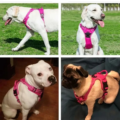 Reflective Minimalist Pet Harness - Secure & Sleek