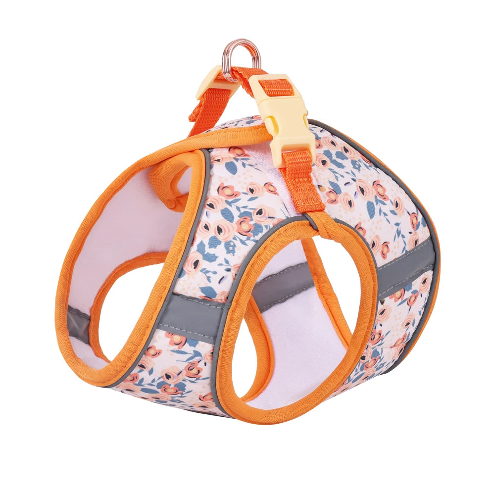 Signature Pet Harness & Leash Set - Modern Utility