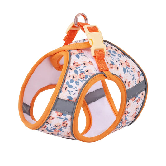 Signature Pet Harness & Leash Set - Modern Utility