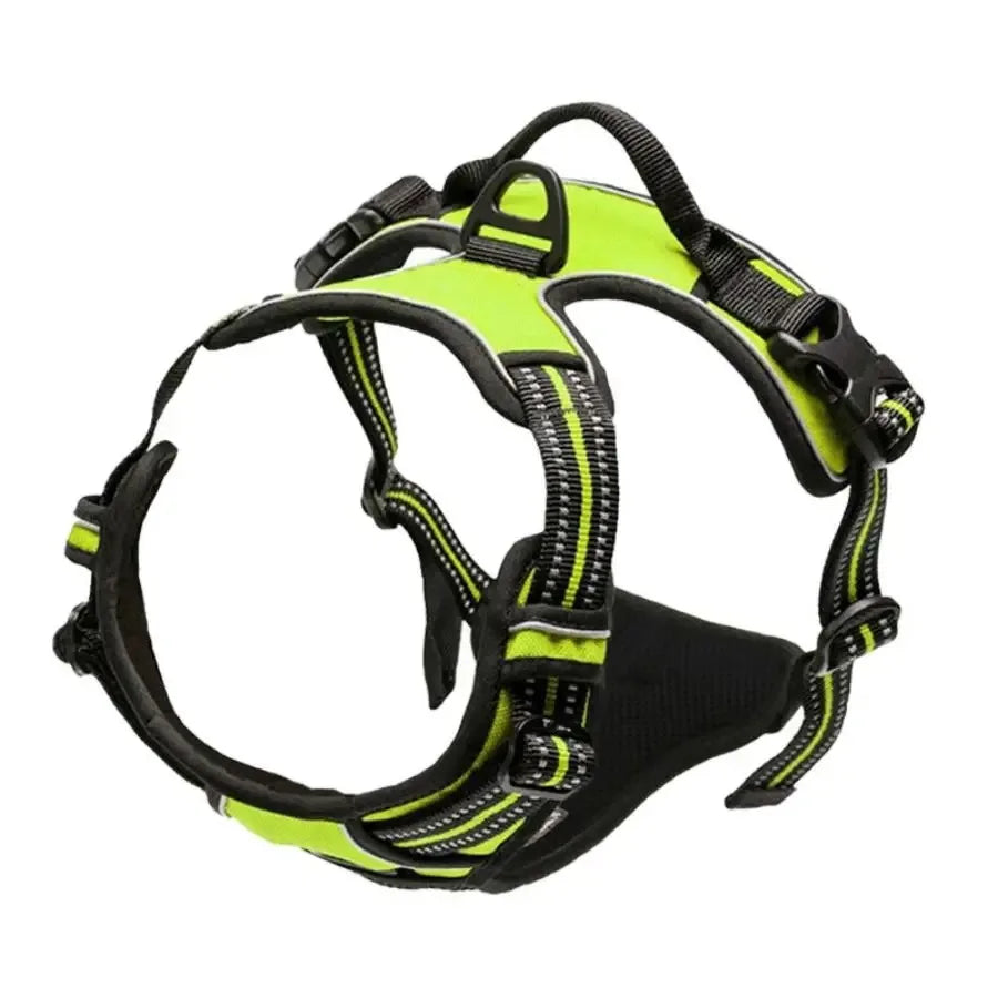 Classic Leather Luxury Harness Set