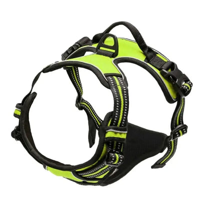 Classic Leather Luxury Harness Set