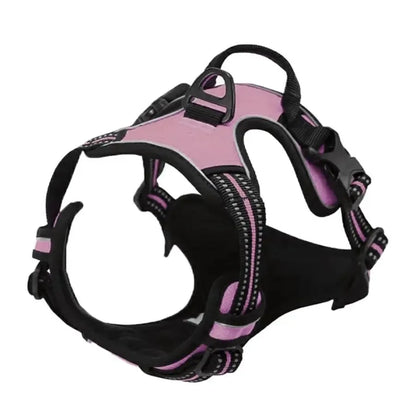 Classic Leather Luxury Harness Set