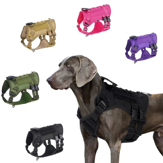 Pro-Tactical Pet Harness - Durable Outdoor Edition