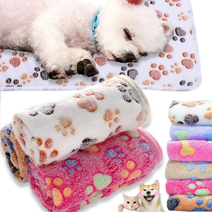 FleecyPaws Cartoon Soft Pet Mat