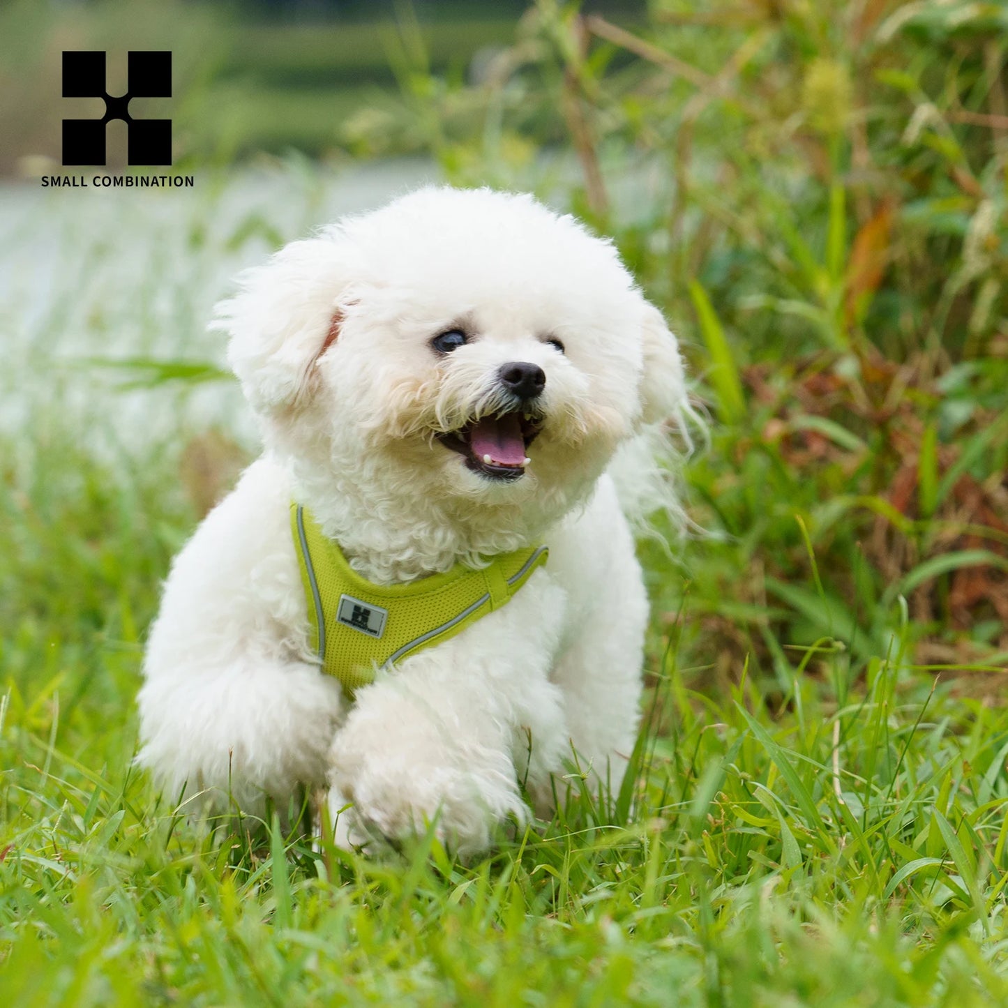 AirMesh Adjustable No-Pull Harness