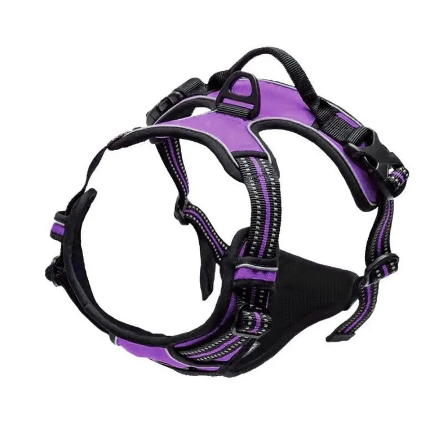 Classic Leather Luxury Harness Set