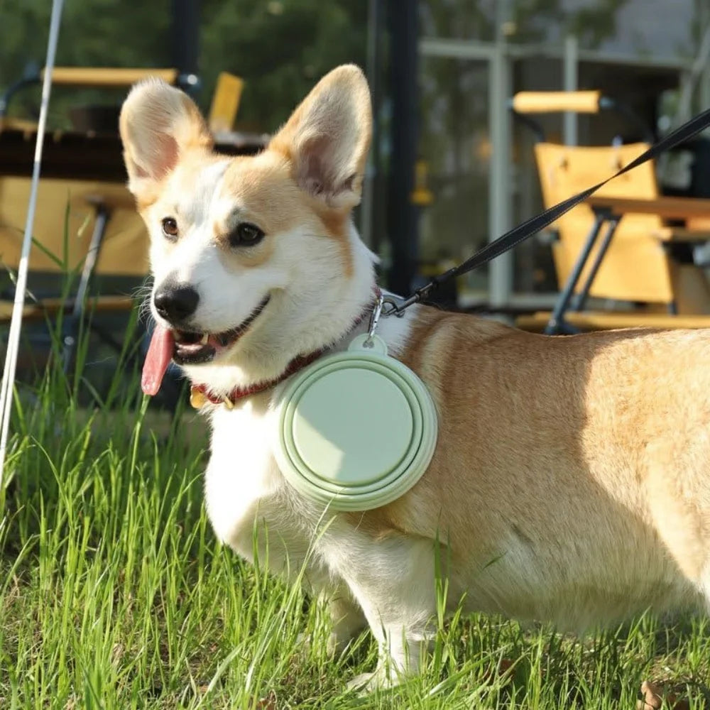 GoPack 2-Piece Collapsible Bowls