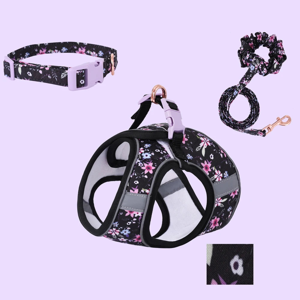 Signature Pet Harness & Leash Set - Modern Utility