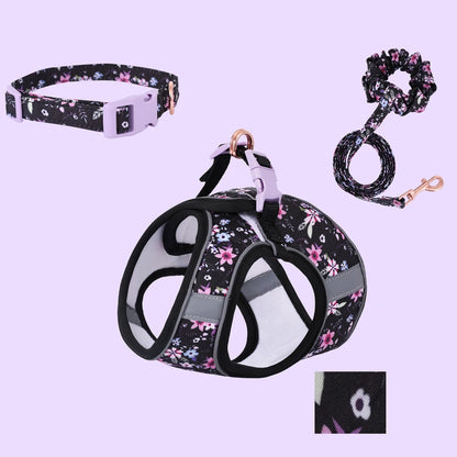 Signature Pet Harness & Leash Set - Modern Utility