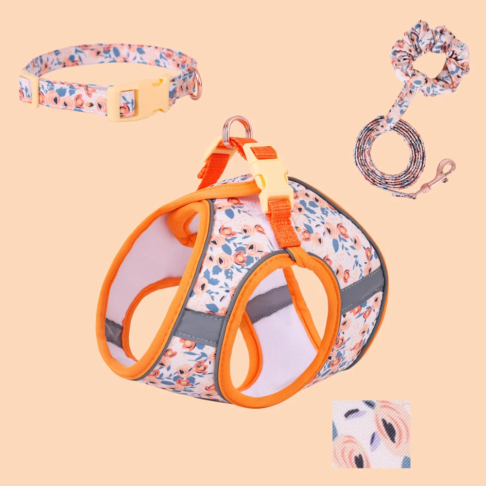 Signature Pet Harness & Leash Set - Modern Utility