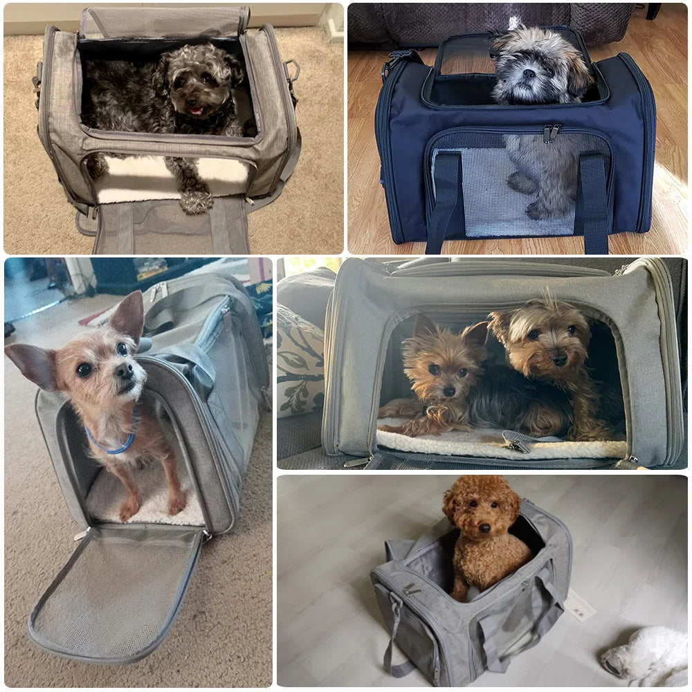 Airline-Approved Pet Carrier - Sleek & Soft-Sided