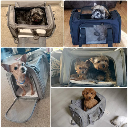 Airline-Approved Pet Carrier - Sleek & Soft-Sided