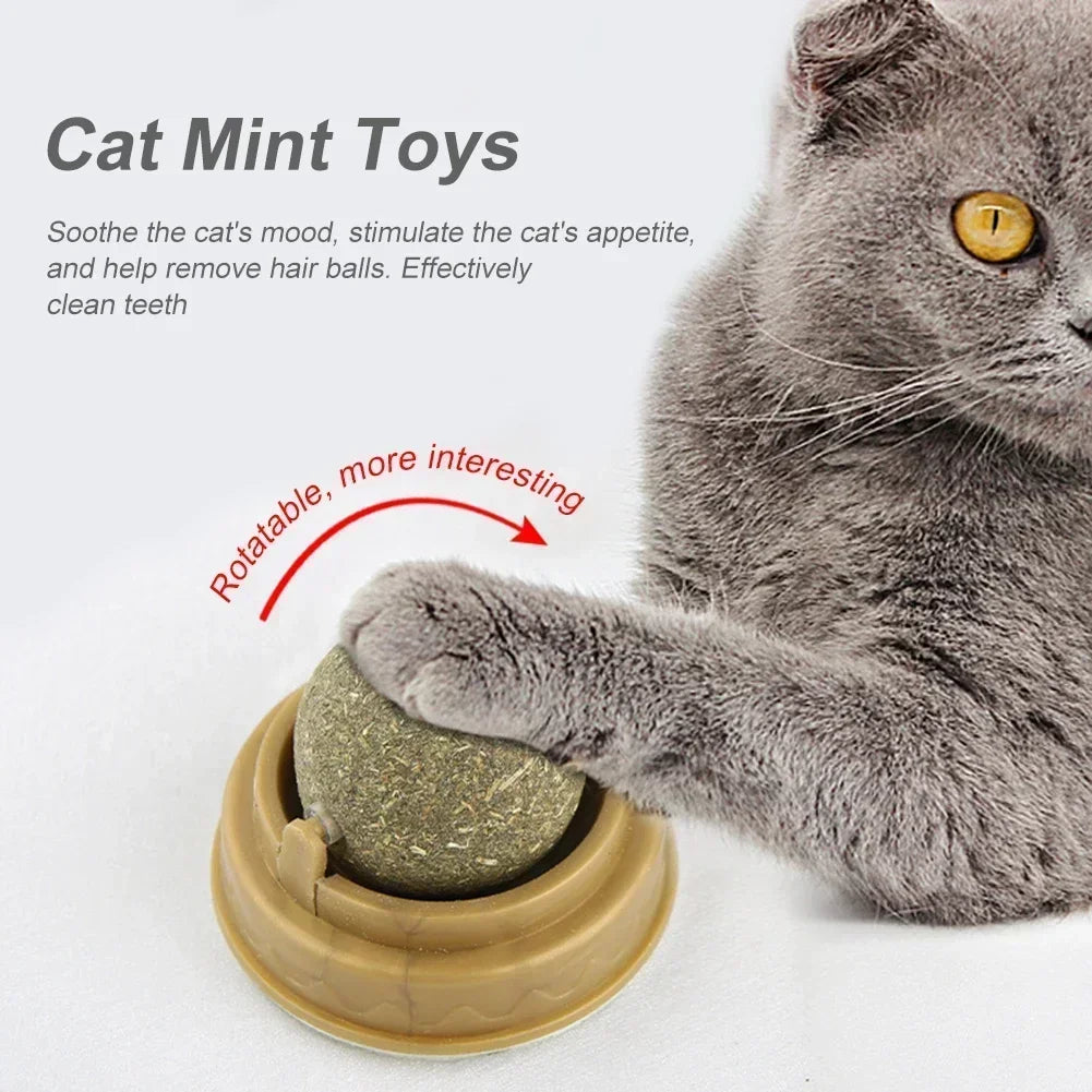 MintFresh Edible Catnip Licking Balls
