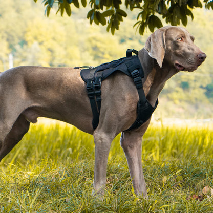 Pro-Tactical Pet Harness - Durable Outdoor Edition