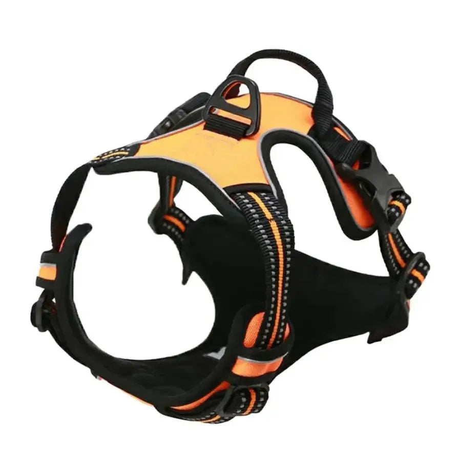 Classic Leather Luxury Harness Set