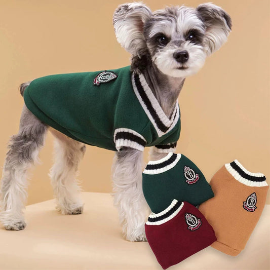 VarsityVibe Knit Dog Sweater