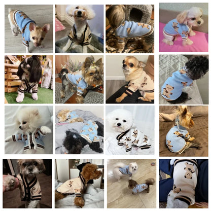 Modern Stripe Pet Cardigan - Luxury Knitwear