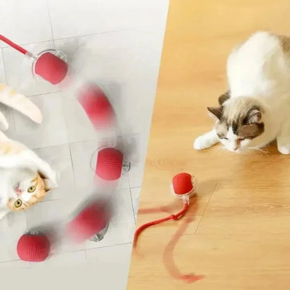 SmartRoll Auto-Rolling Interactive Ball