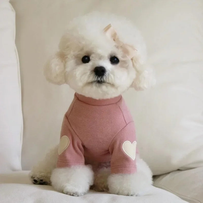 TeddyBear Warm Fleece Dog Hoodie