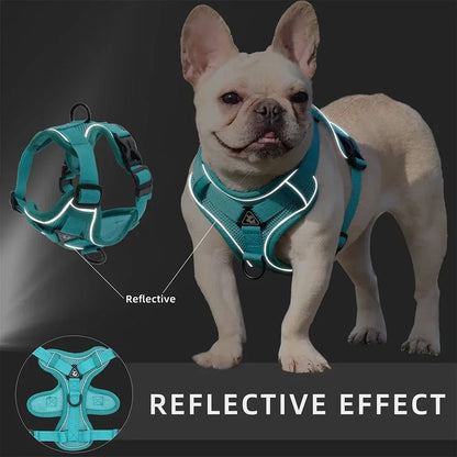 ProFit Adjustable No-Pull Harness