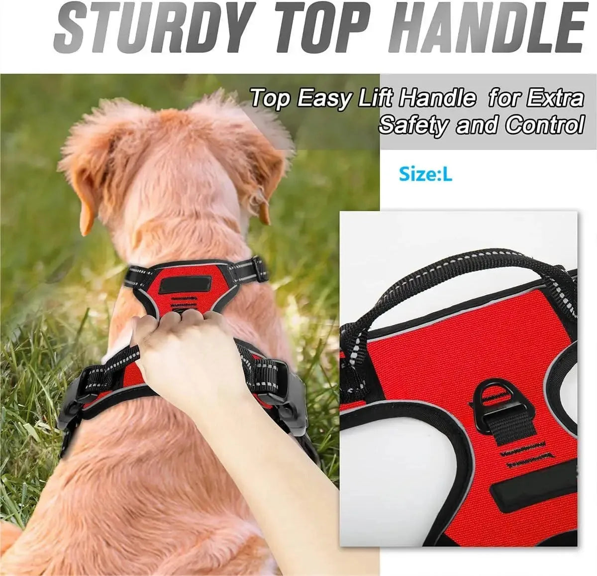 Classic Leather Luxury Harness Set