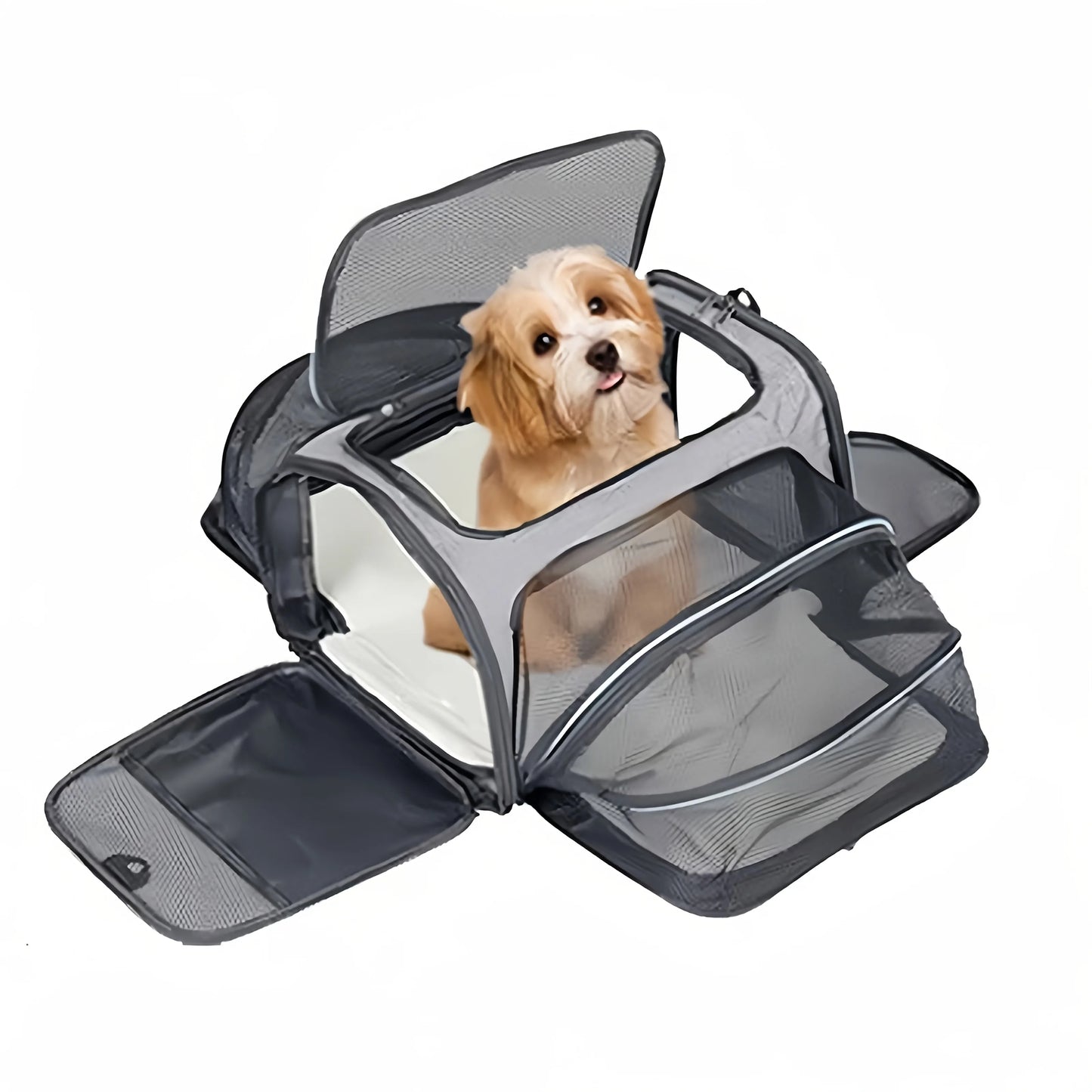 Essential Foldable Pet Carrier - Expandable & Breathable