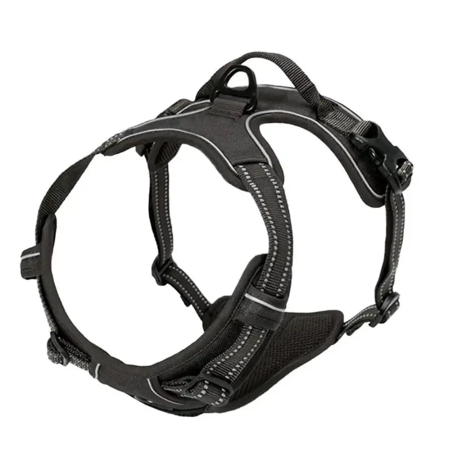 Classic Leather Luxury Harness Set